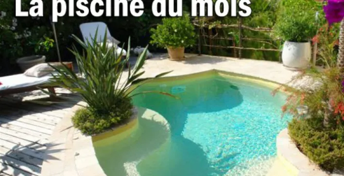 Grand spa ou mini piscine ?