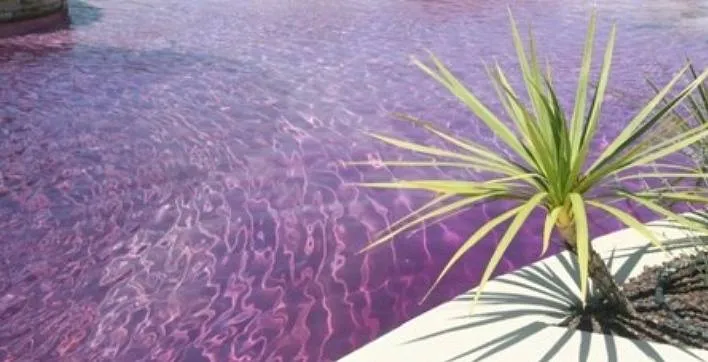 Colorez l’eau de votre piscine en toute sécurité !
