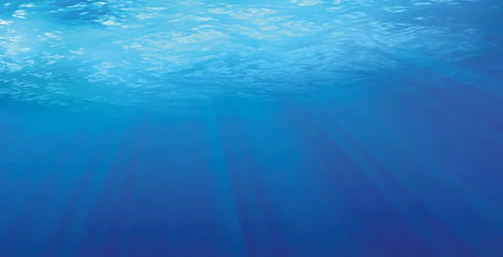 Qu’est-ce qu’une piscine au sel  et comment ça marche ?