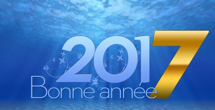 Toute l'équipe PiscineSpa.com vous souhaite une excellente année 2017
