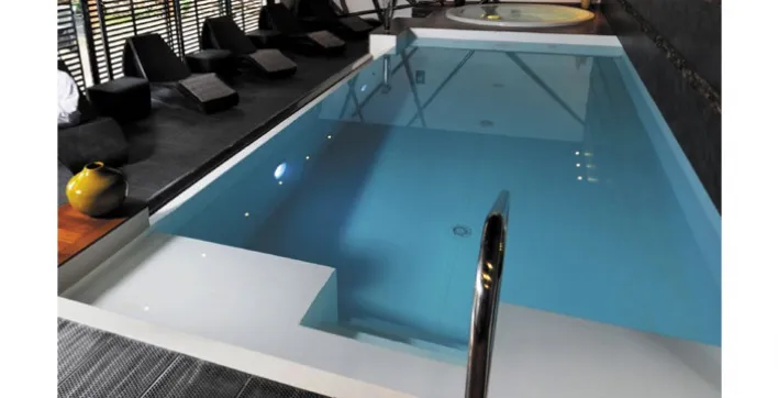 L'année des Trophées pour L'esprit Piscine