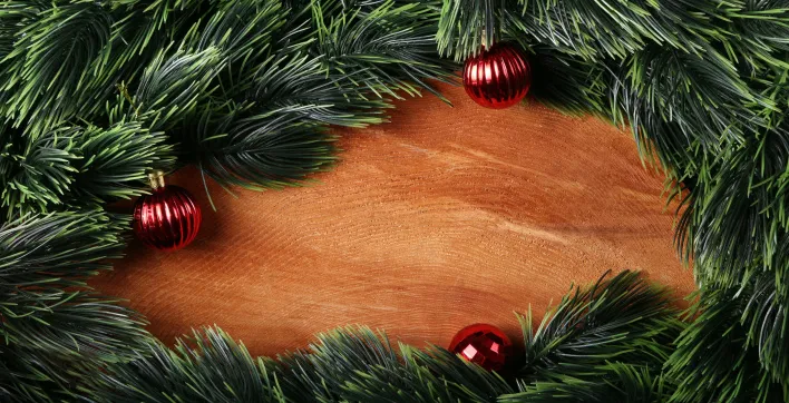Top 5 des décorations de Noël de jardin à faire avec vos enfants