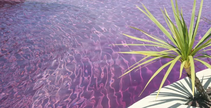 Colorant éphémère pour spas, piscines, fontaines...