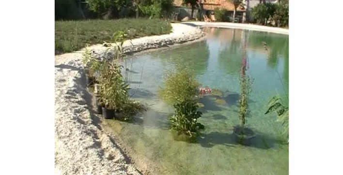 Une baignade naturelle sans sel, ni chlore