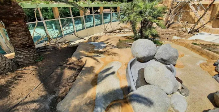 Zoo de la Palmyre : La piscine pour les loutres fait peau neuve !