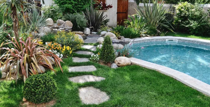 Piscine et plantes : À quelle distance de son bassin doit-on planter son gazon ?
