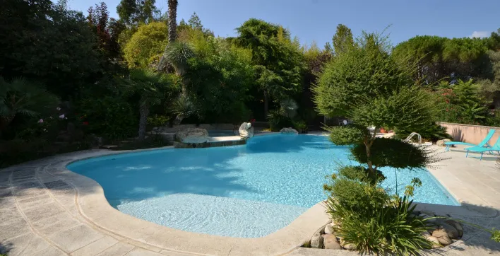 Aménager son extérieur : Quelles plantes mettre autour de sa piscine ?