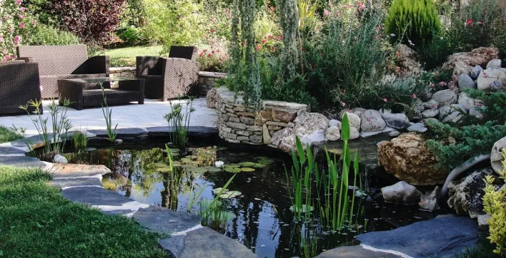 Piscine et plantes : Quels arbustes pour entourer son bassin ?