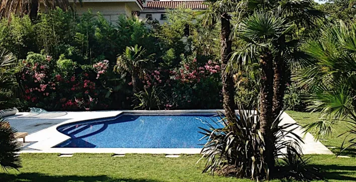 Arroser ses plantes avec l’eau de la piscine : bonne ou mauvaise idée ?