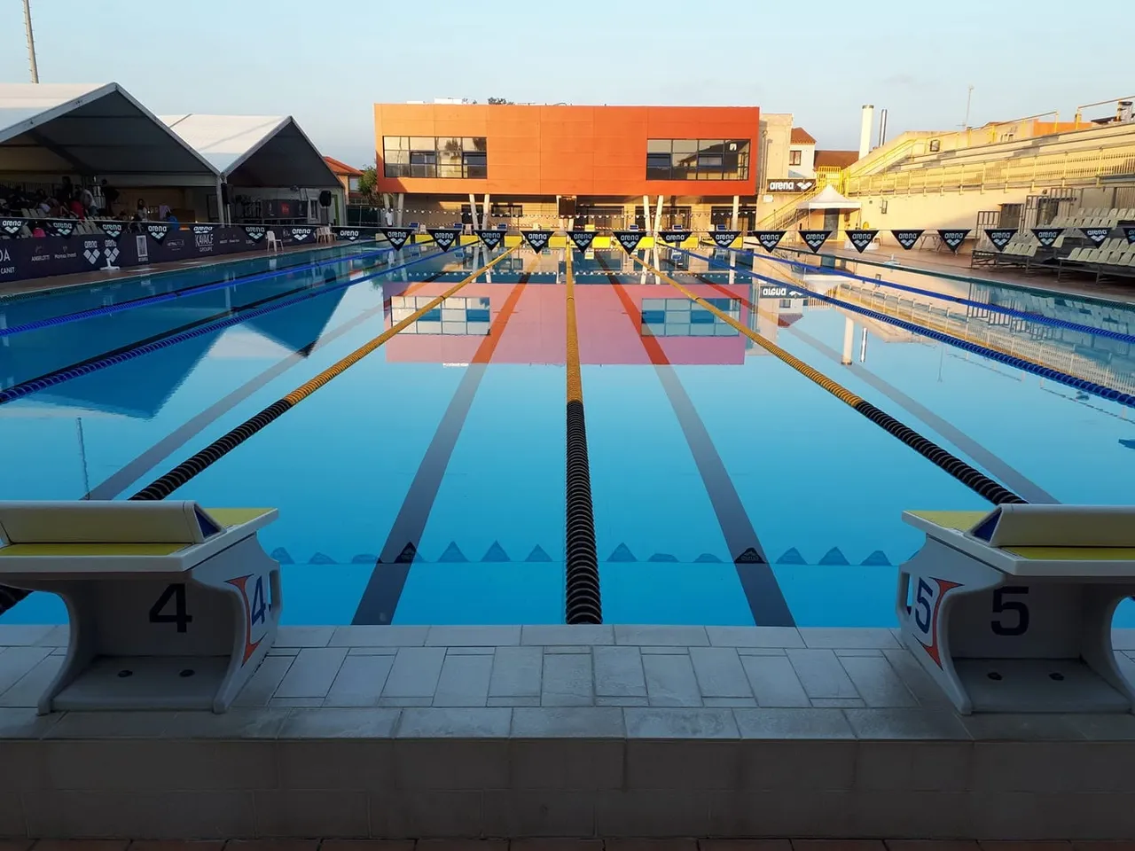 Canet-en-Roussillon : 50 ans de natation et une belle collection de champions