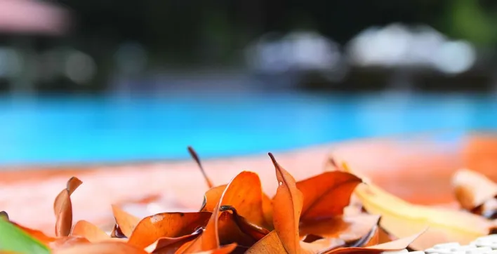 L'entretien de la piscine éligible au crédit d'impôt