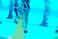 Vidéo de démonstration du vélo aquatique Hexa Bike par Aquilus